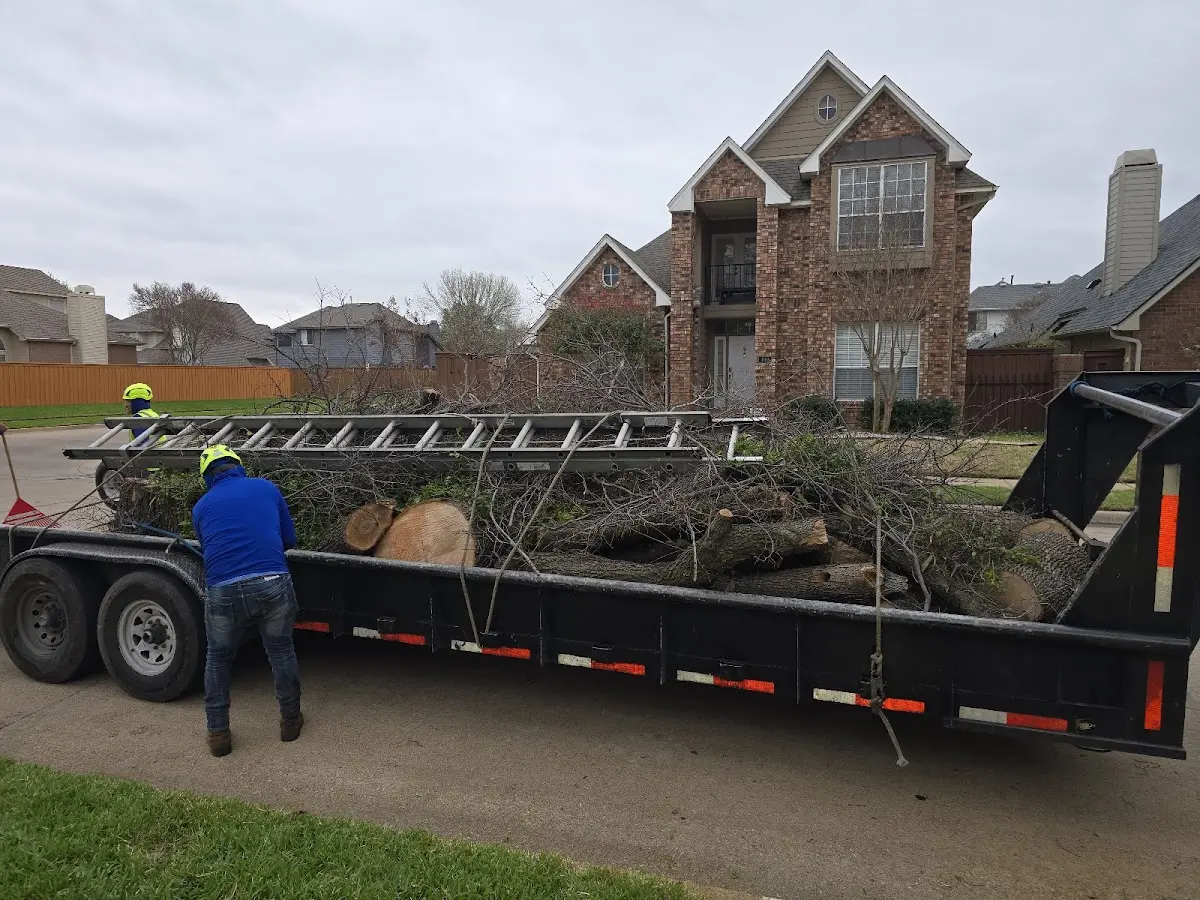 Expert Tree Removal with proper safety equipment in Crowville